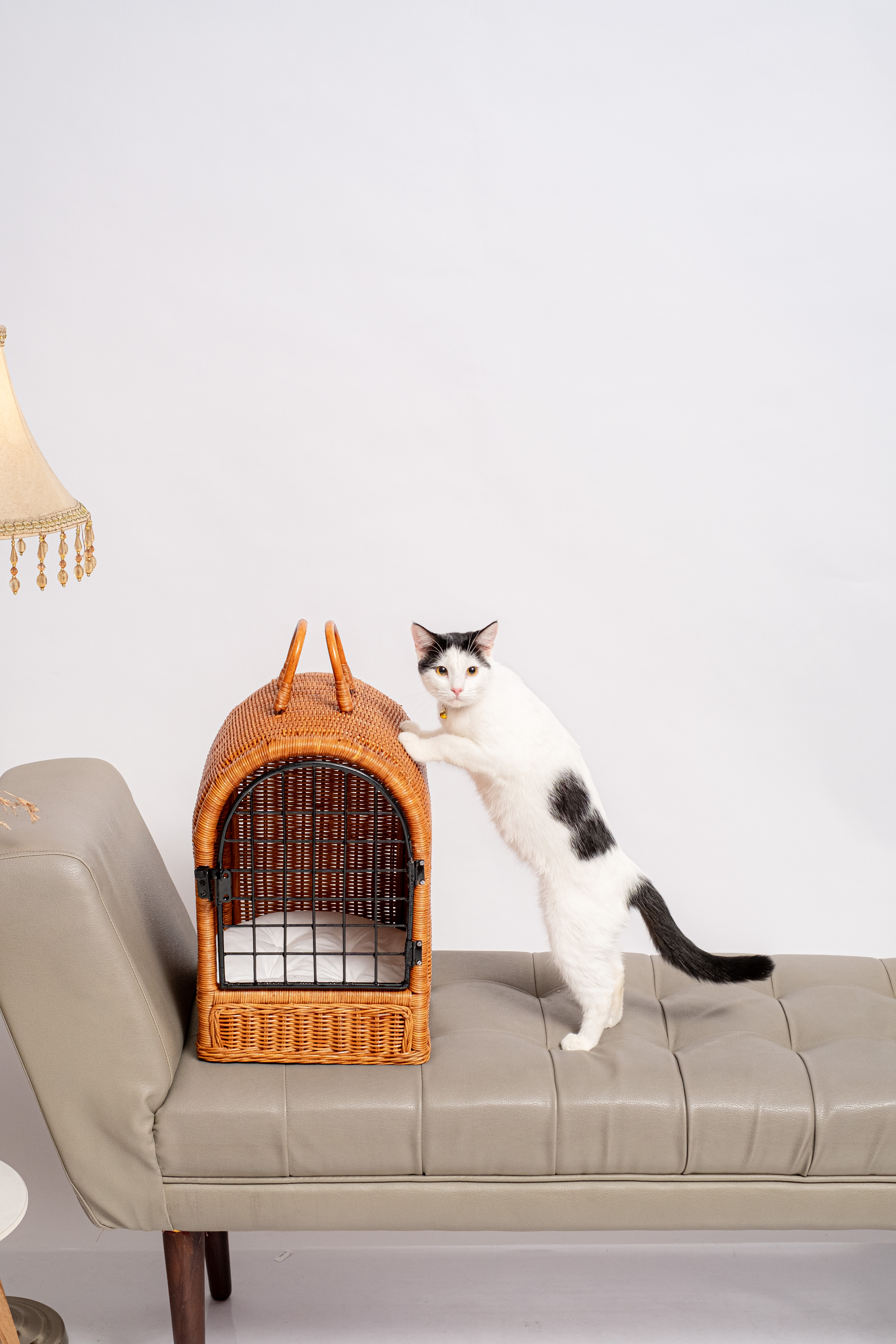 Handcrafted Rattan Pet Carrier and Cat